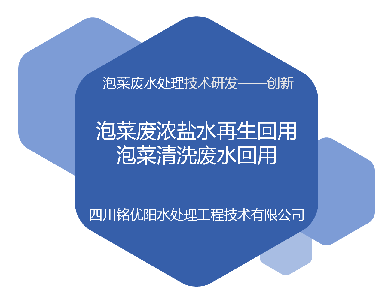 泡菜廢水全方位處理工藝研發成果